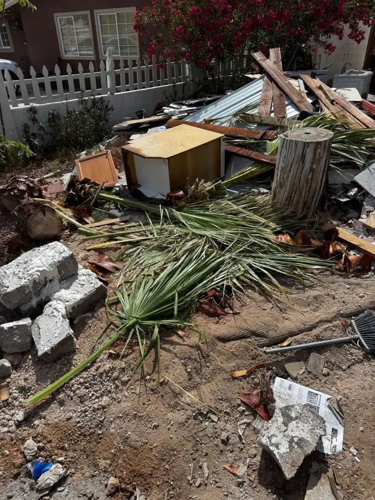 Clearing a Las Vegas Yard Before Summer Hits