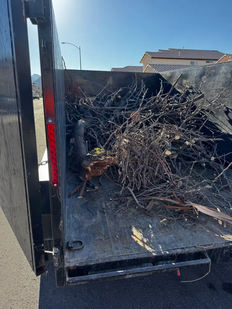 Yard Waste Removal
